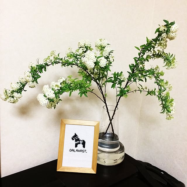 nao12さんの実例写真