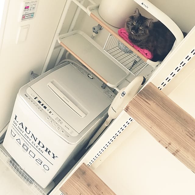 mikomaruさんの実例写真