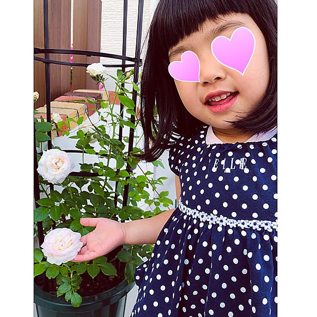 hinamamaさんの実例写真