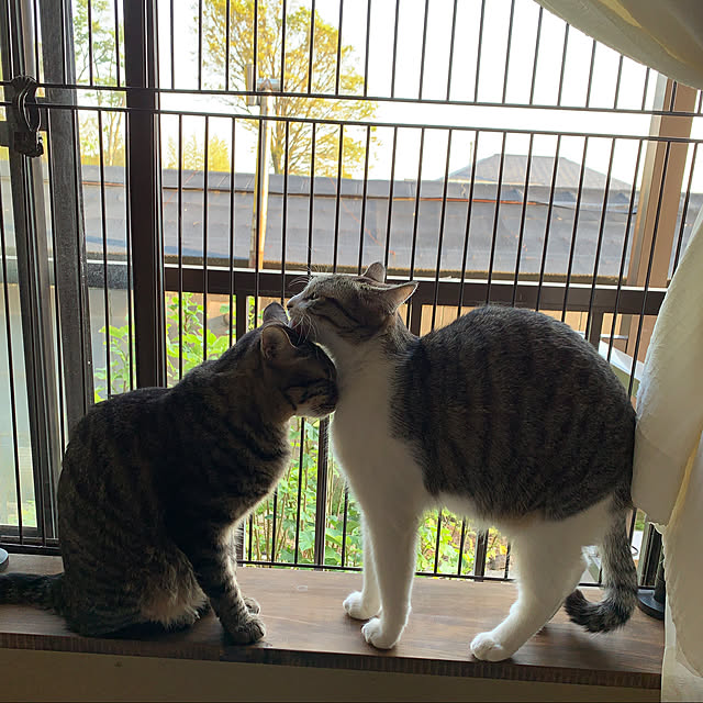 rioさんの実例写真