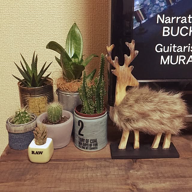 yo-koさんの実例写真