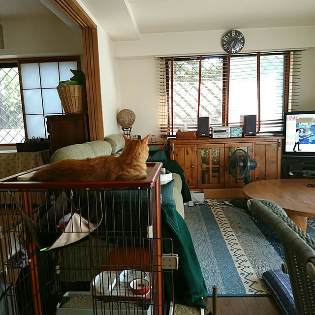 okyosan101さんの実例写真