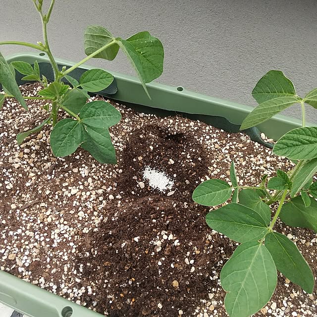 narikawaさんの部屋