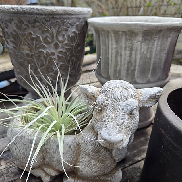 min_nimさんの部屋