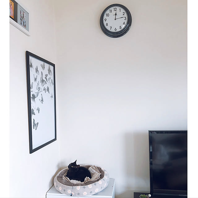 nekomiさんの実例写真