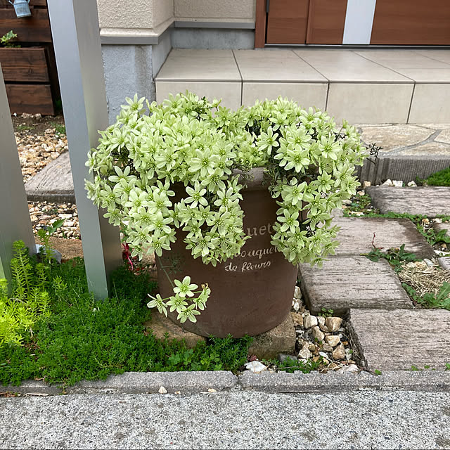 pekoさんの実例写真