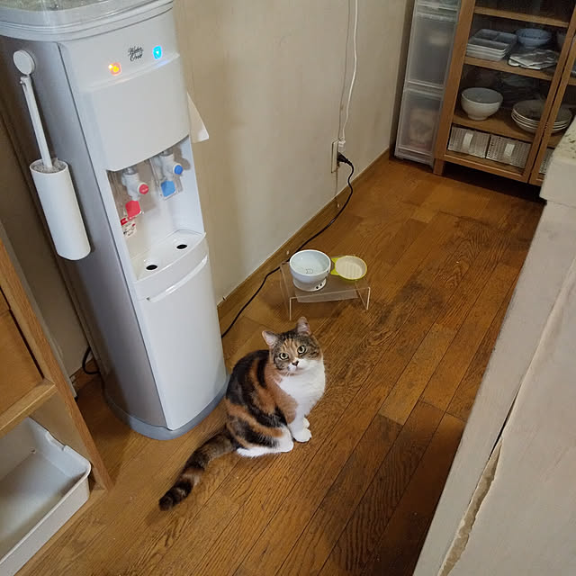 yukieさんの実例写真