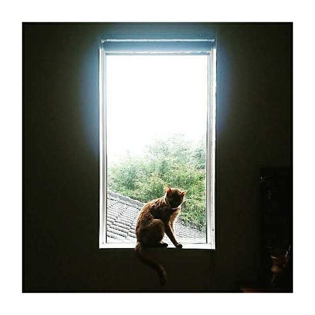 maison.de.brocanteさんの実例写真