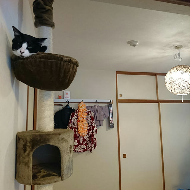 okyosan101さんの実例写真