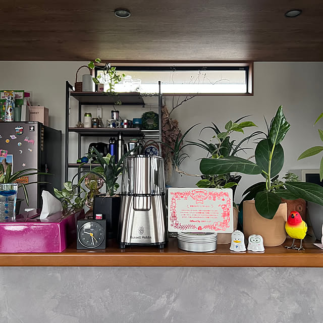 pokowheeさんの部屋