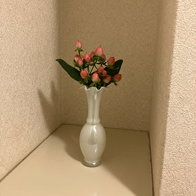 peachtopsさんの実例写真