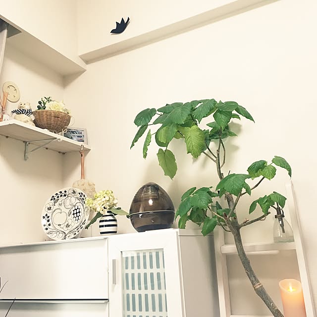 rinさんの実例写真