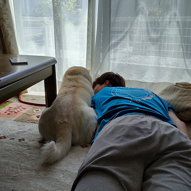 yukinkoさんの実例写真