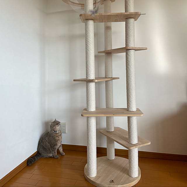 chomittさんの実例写真