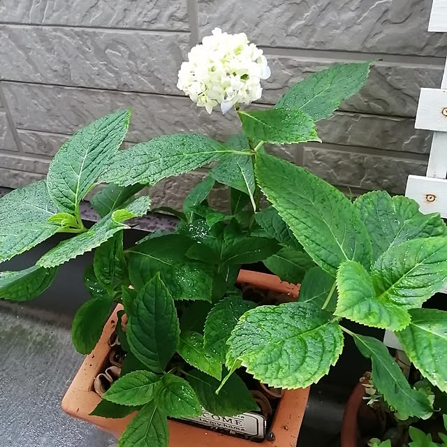 teruminさんの部屋