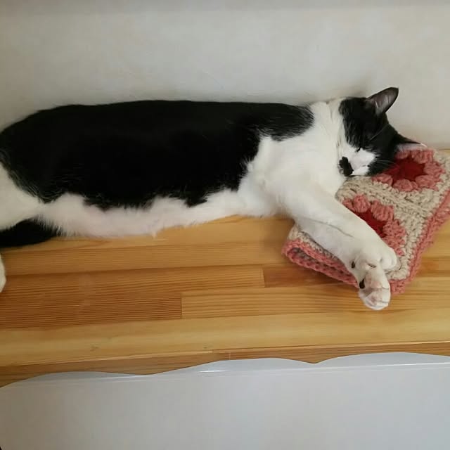 oliveさんの実例写真