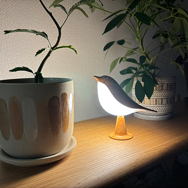 y---iさんの部屋