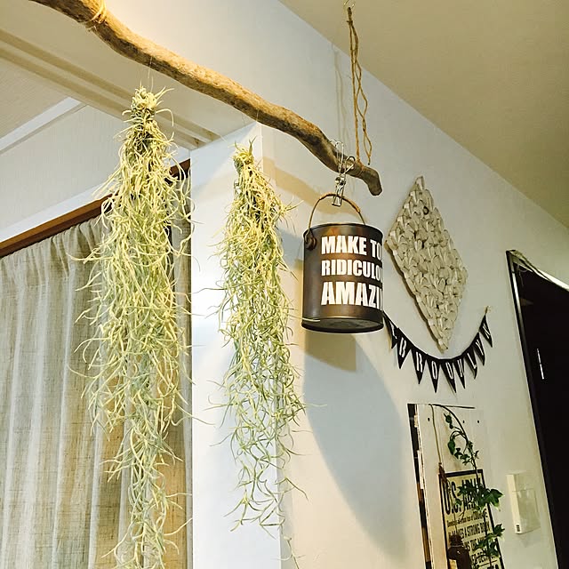 maringさんの実例写真
