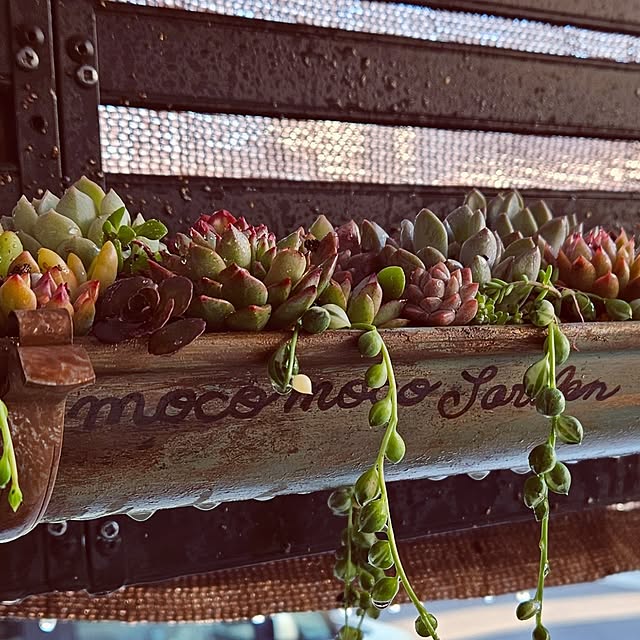 mocomocoさんの部屋