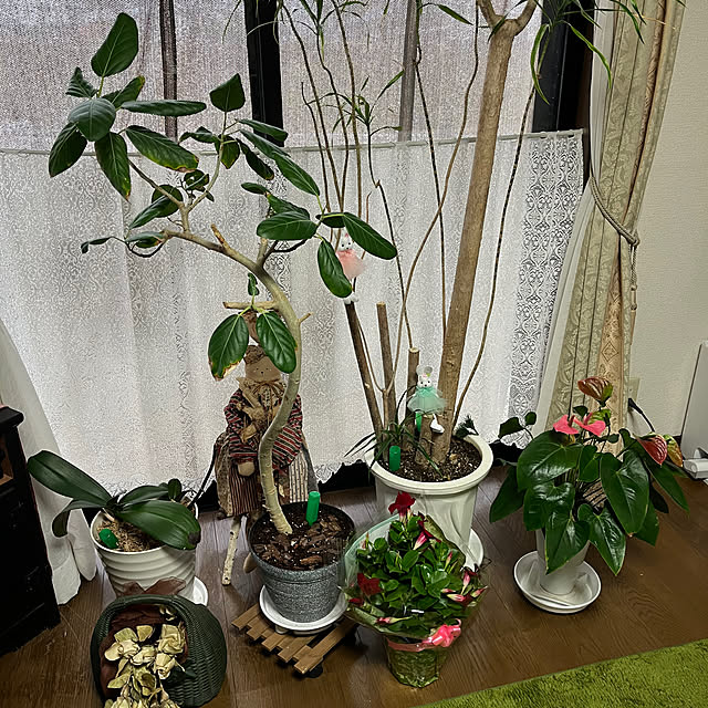 ritsukoさんの実例写真