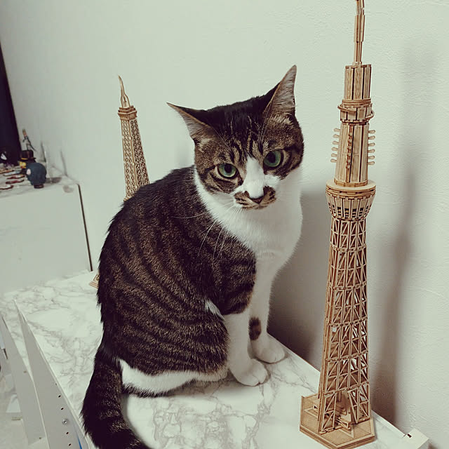 nrさんの実例写真