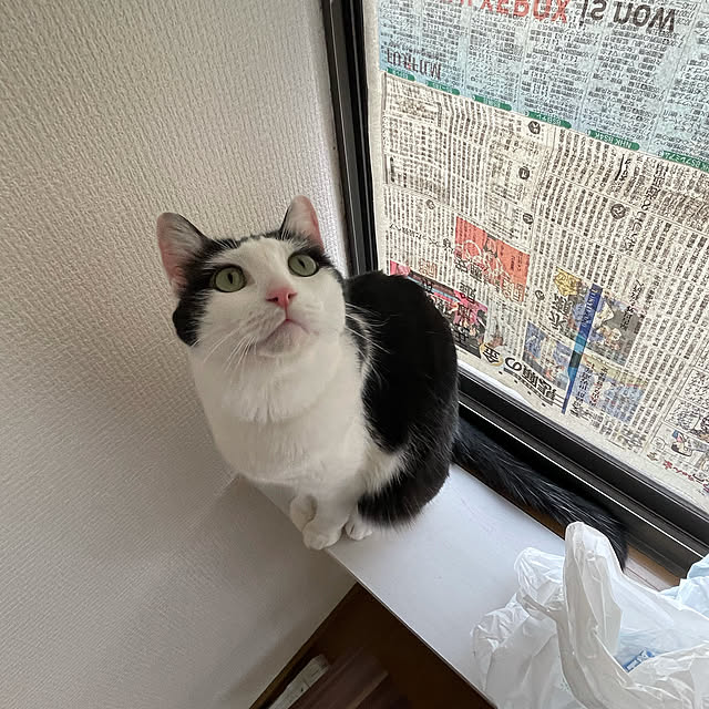 harukaさんの実例写真