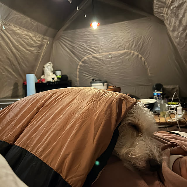 Fumiさんの部屋