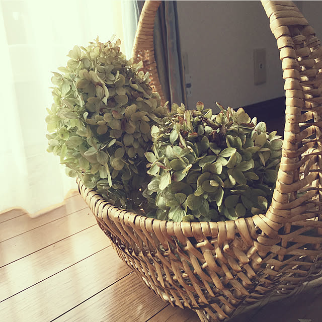 niconさんの部屋