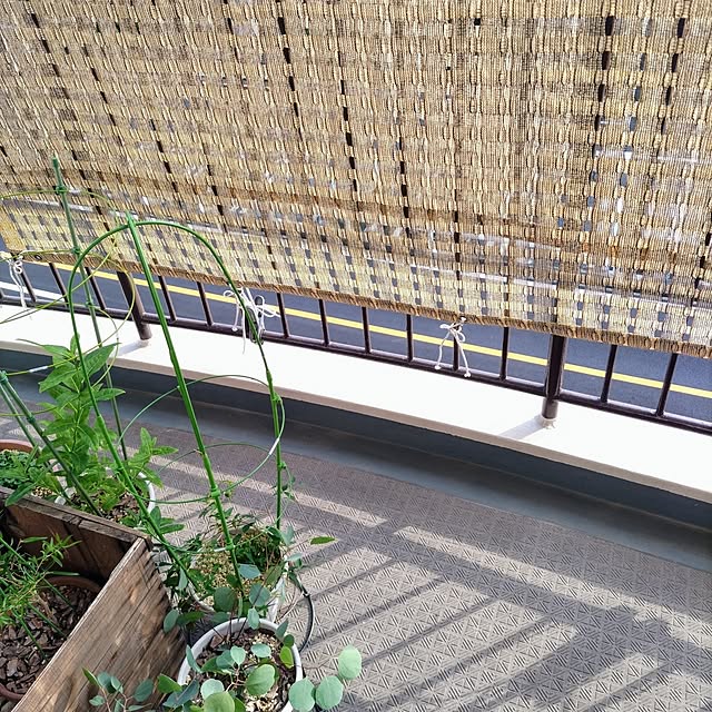 mi-saさんの部屋