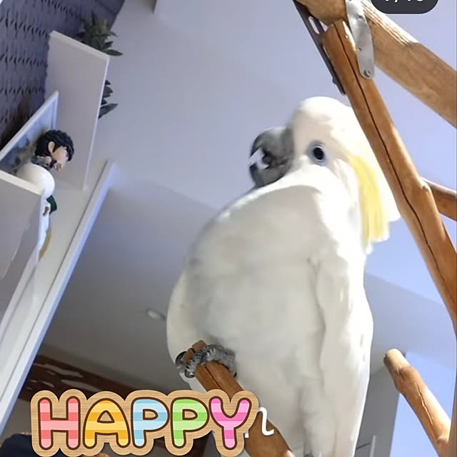 naoさんの部屋