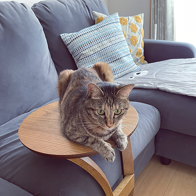 chiiさんの実例写真