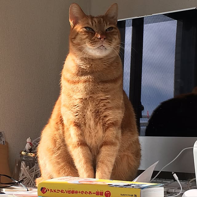 miyabiさんの実例写真