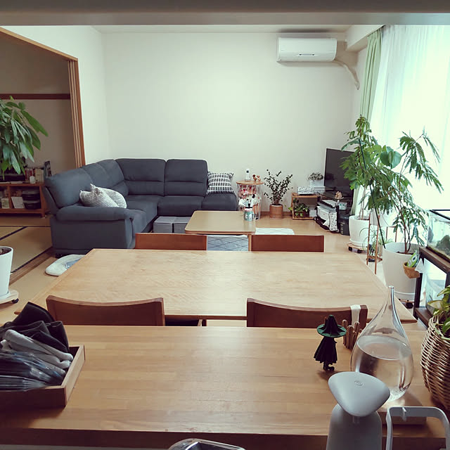akipopoさんの実例写真