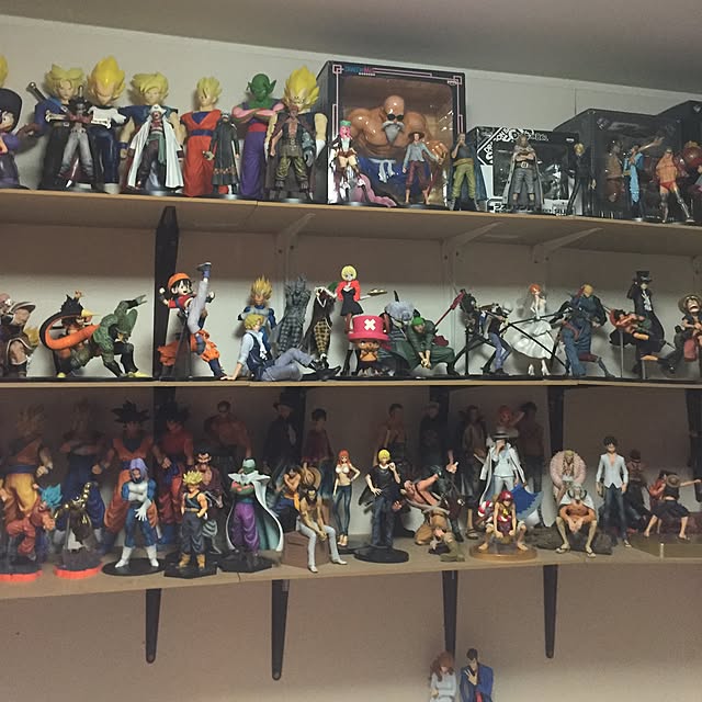 KAMENRIDER009さんの実例写真