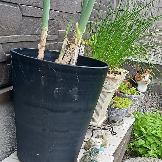 aiさんの部屋