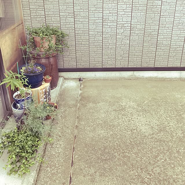 74toshiさんの実例写真