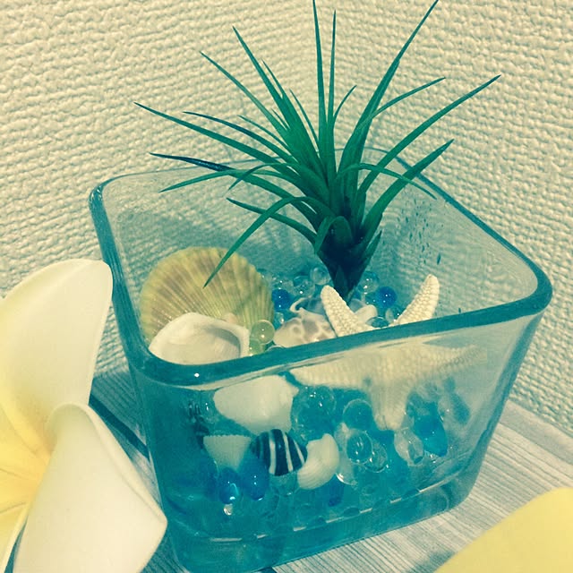 chocoさんの実例写真