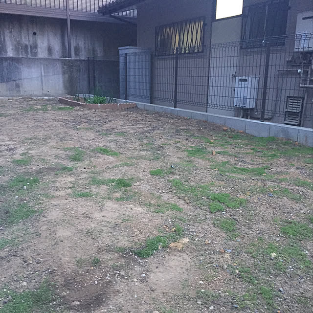 masaさんの実例写真