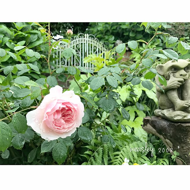 s.mamaさんの実例写真