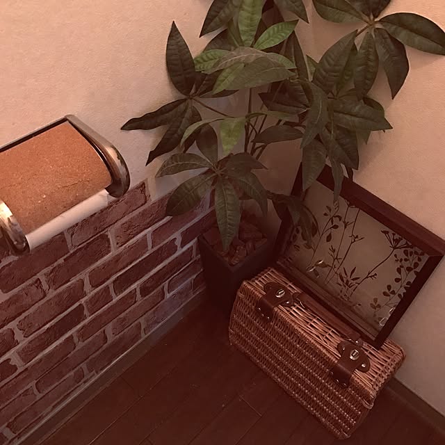 Fumikaさんの実例写真
