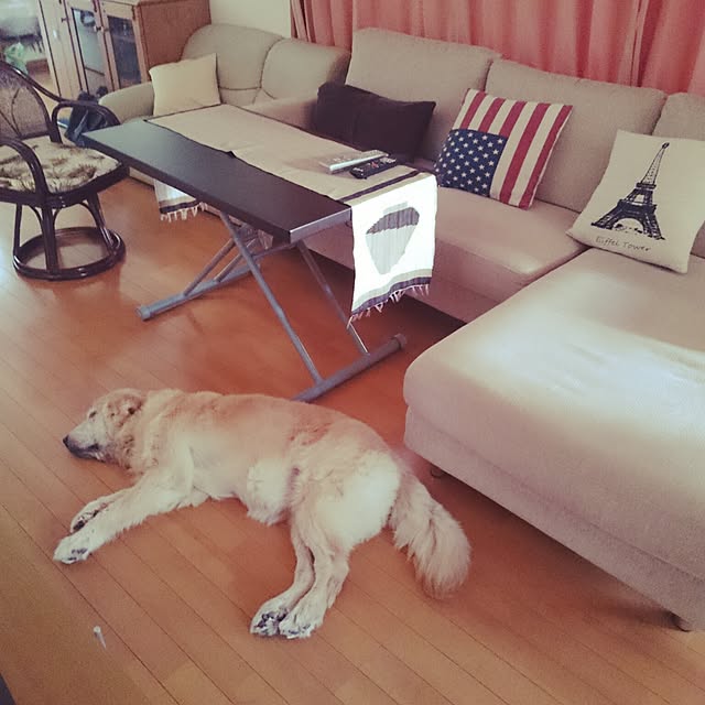 mikamikaさんの実例写真