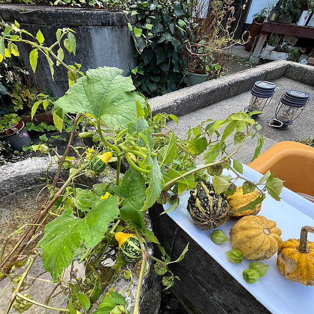 cotaさんの実例写真