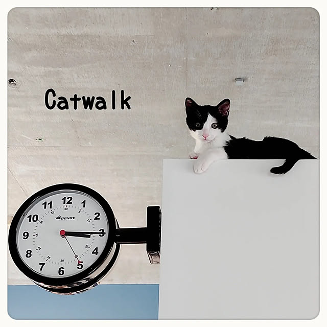 tammyさんの実例写真