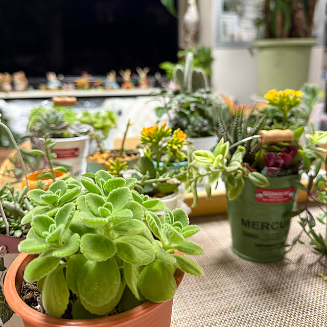 Aqettyさんの部屋