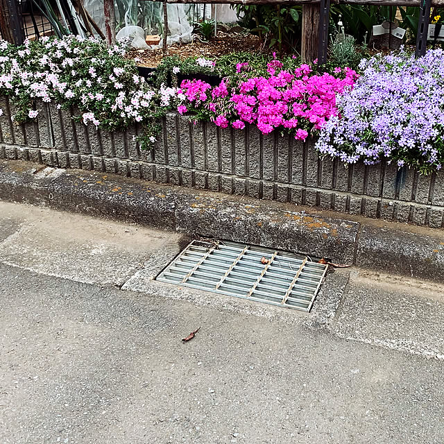 KYONさんの部屋