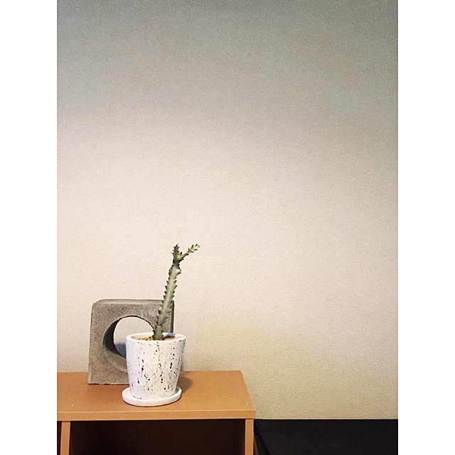 kurosicaさんの実例写真