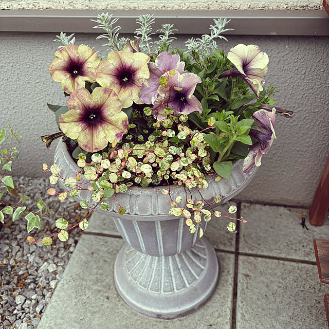 yumixさんの実例写真