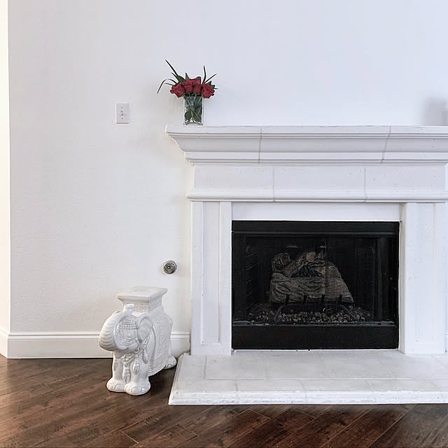 Fireplace/リビングのインテリア実例 - 2019-07-03 03:04:29