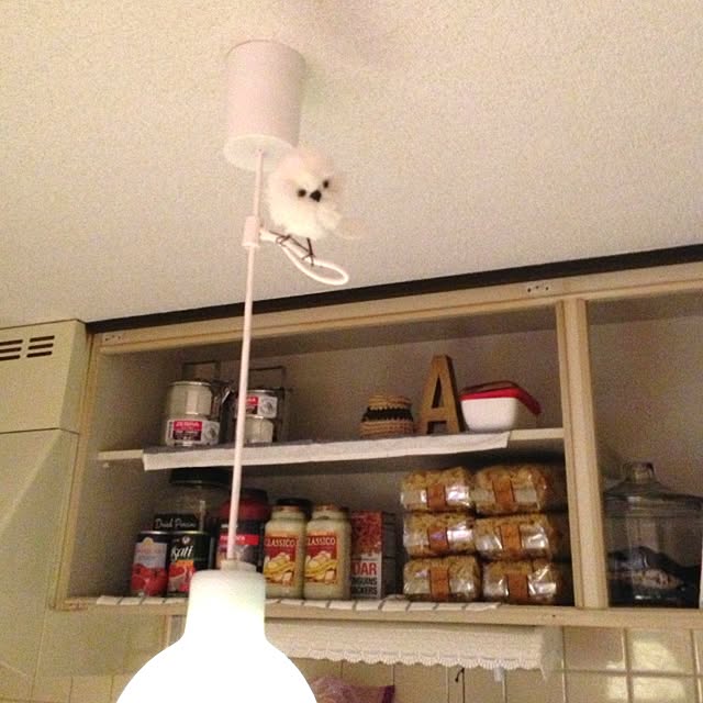 Akekobitさんの実例写真