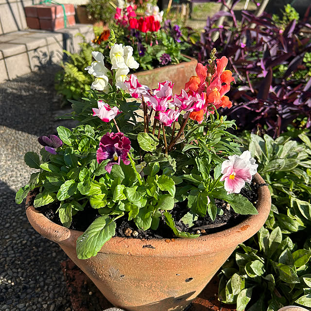 ritsukoさんの実例写真